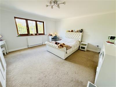Picture 29